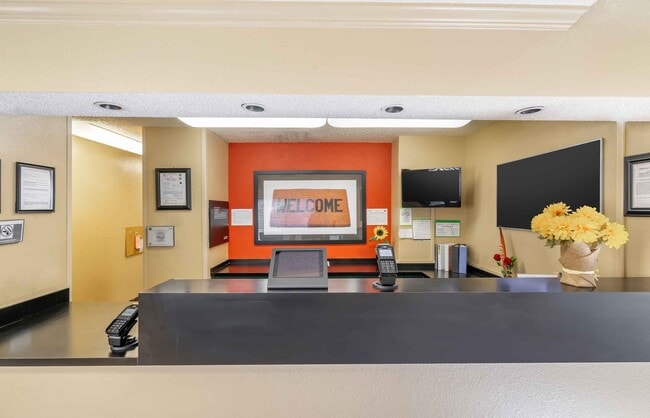 Furnished Studio-Tampa - Brandon