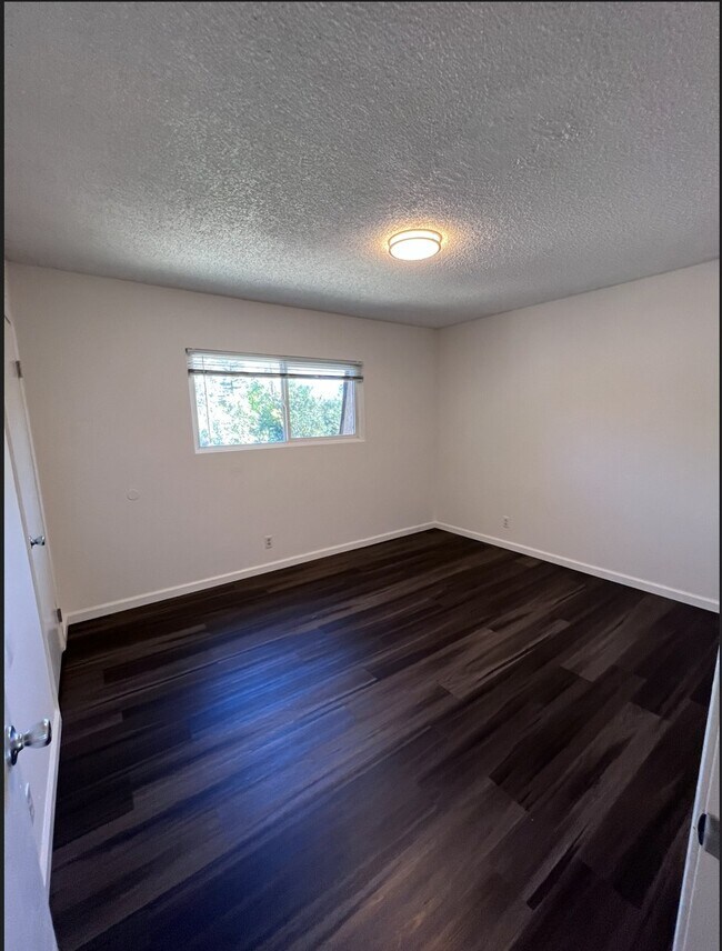 1155 Delphinium St Unidad D