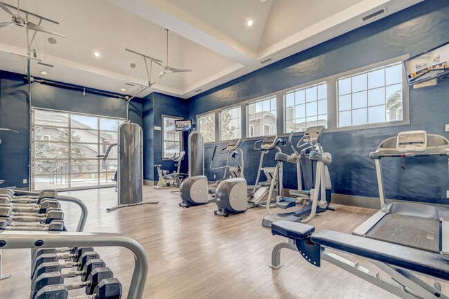 Levanta pesas, tonifica y entrena en el gimnasio de tu comunidad.