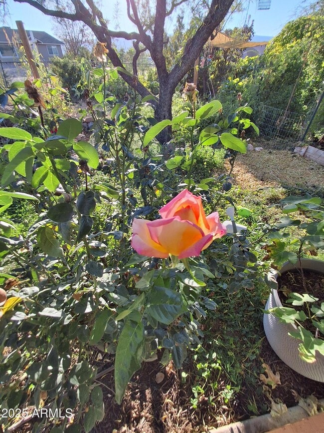 Photo - 4020 E Creek View Dr