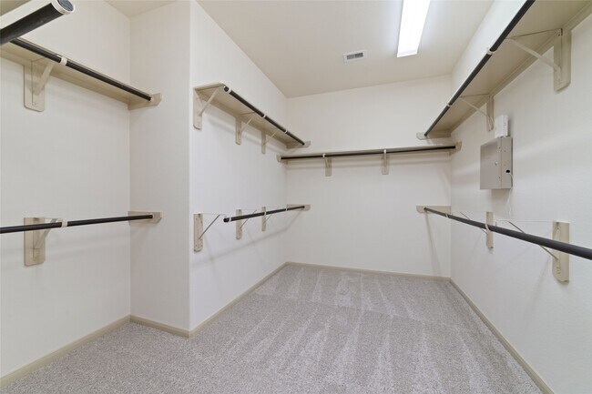 Building Photo - 23203 Mirtillo Ct