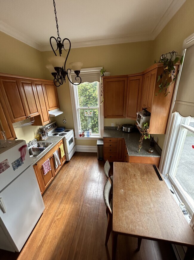 Photo - 146 Clarence St Unit 7