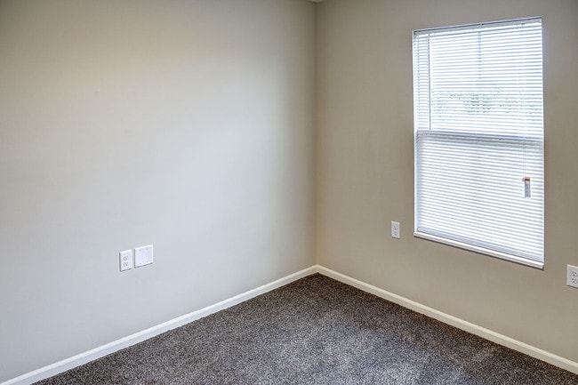 Photo - Tristan Ridge