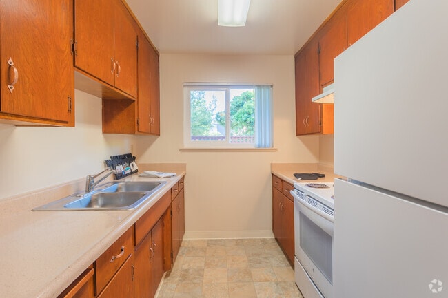 Photo - Cherry Blossom