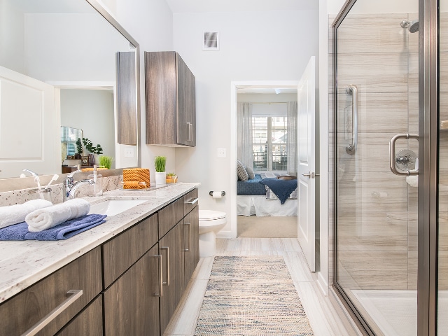 Ornate Bathroom - Overture Greenville	 55+ Active Adult Apar...