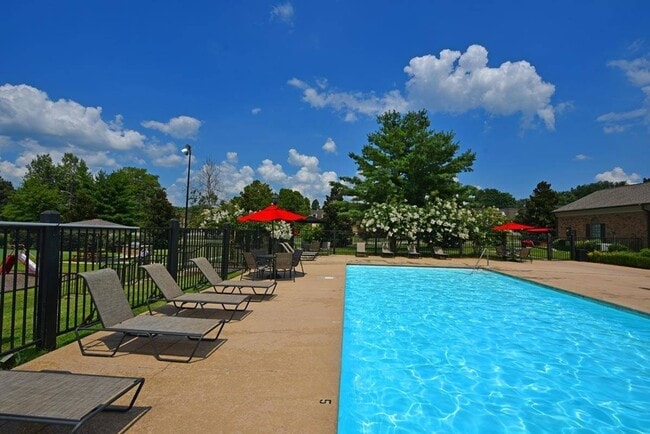 Piscina con terraza - Marina Pointe