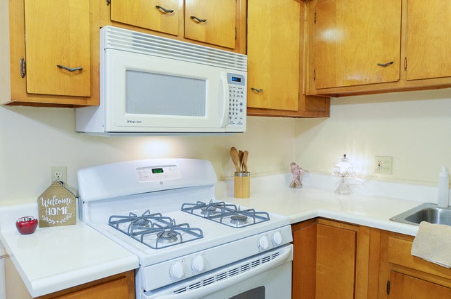 Gas range/Kitchen