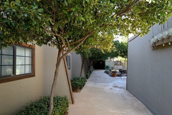 Bear Creek Apartments