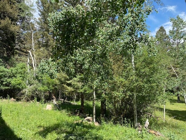 Photo - 30856 Kings Valley Way