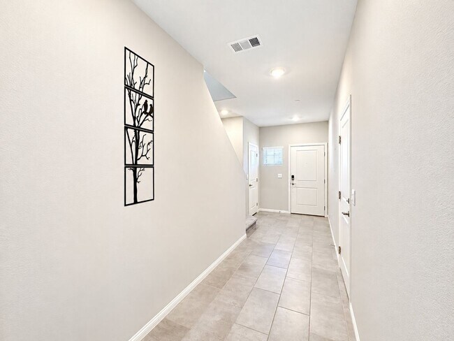 351 Night Dove St