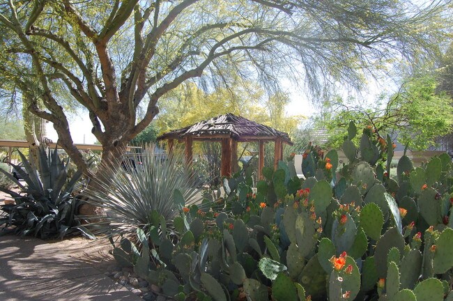 Jardín de cactus