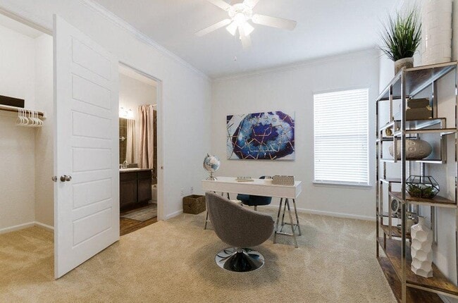 Photo - Berkshire Jones Forest