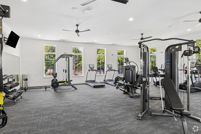State-of-the-Art Fitness Studio with TRX Equipment