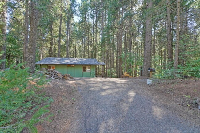 Photo - Darling 2-bedroom cabin in the woods!
