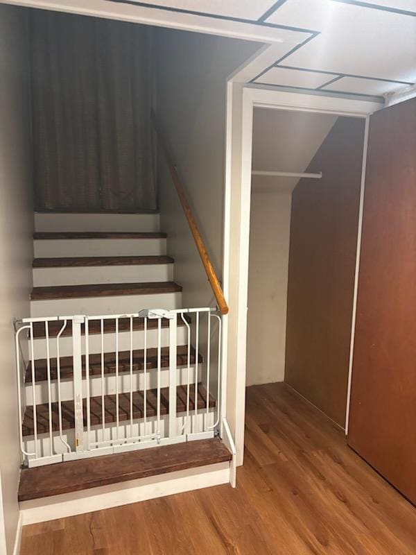 Photo - 1541 Marconi Dr