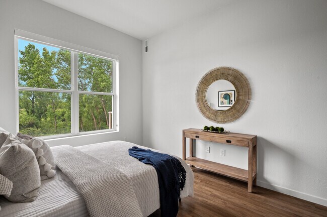 One Bedroom - 1A