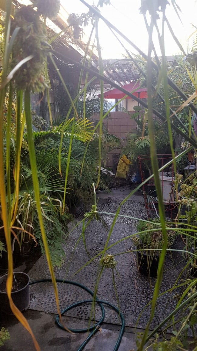 Photo - 999 E Valley Blvd Unit 111