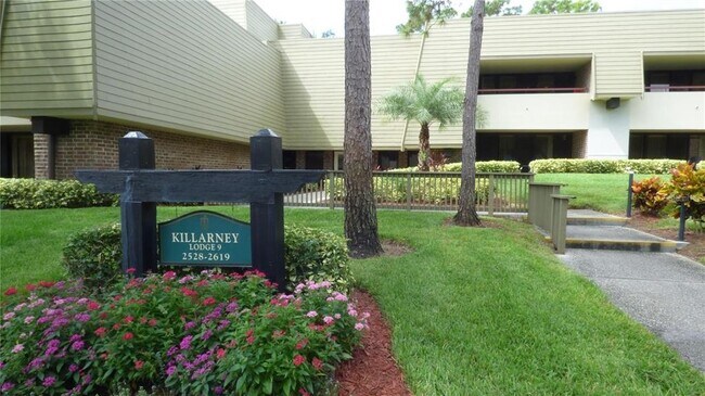Building Photo - 36750 US-19 Unit 9-303