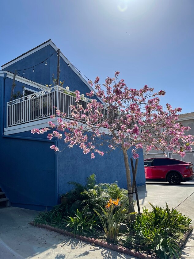 Personal parking space for your unit - 1419 California St (Huntington Beach, CA)