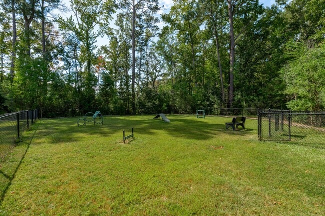 Dog Park