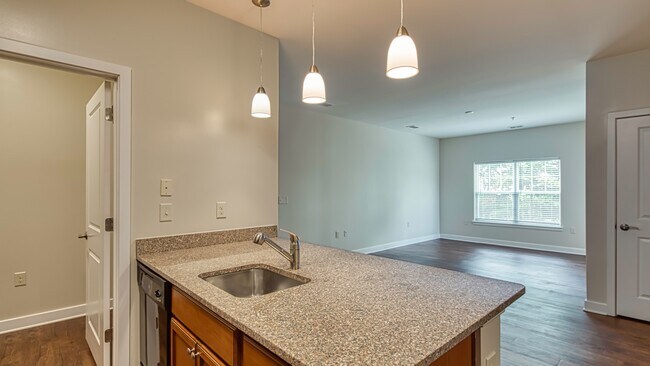 Granite countertops and pendant lighting