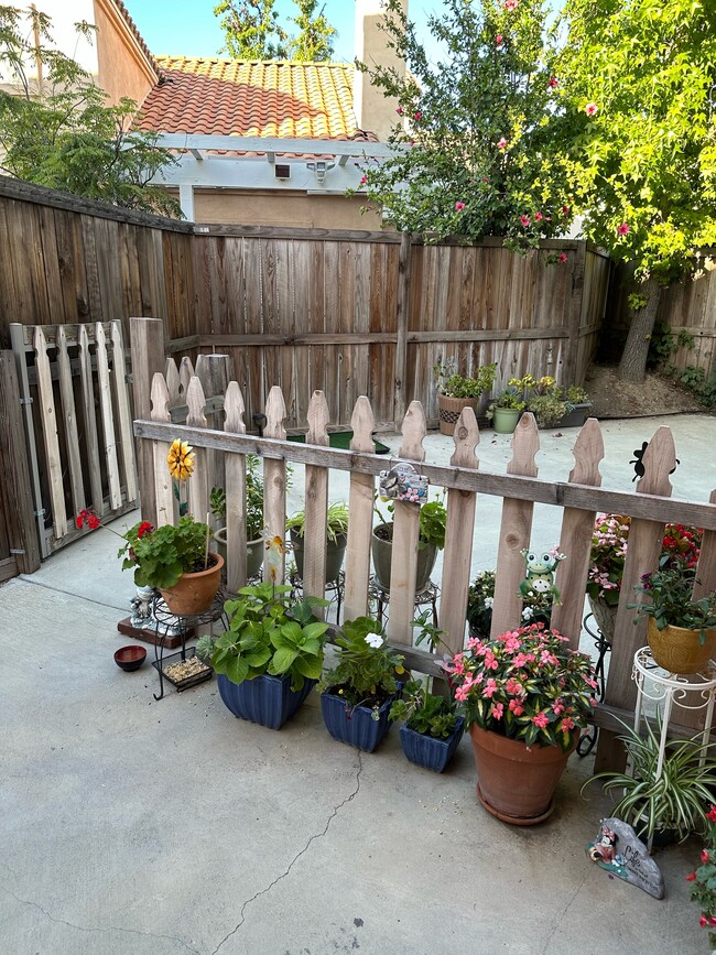Backyard - Southside