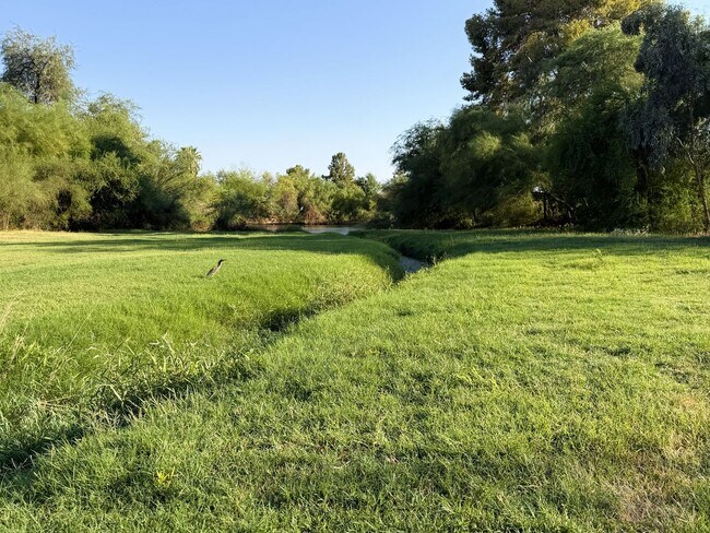 Photo - 7808 E Heatherbrae Ave