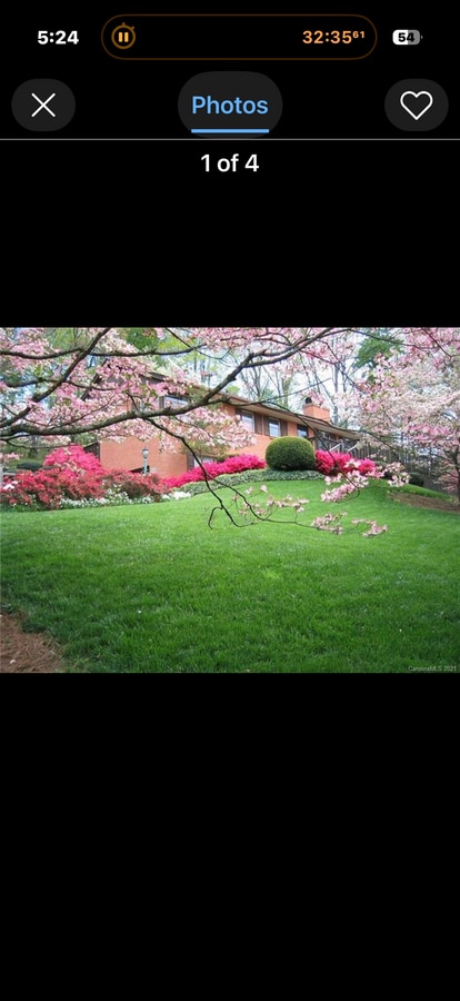 Photo - 321 Beaverdam Rd