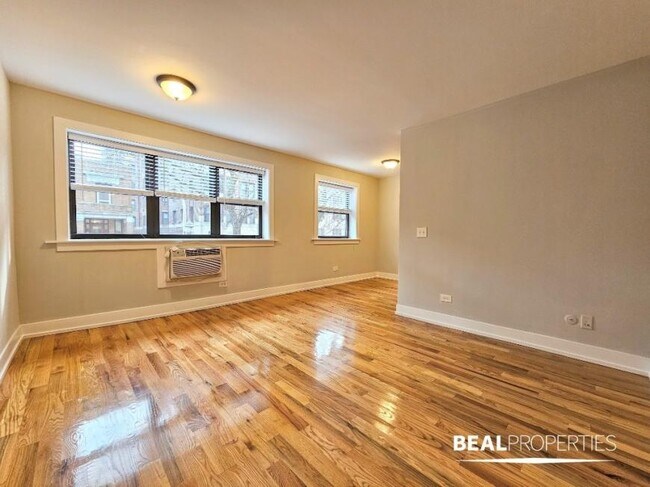 0 bedroom in CHICAGO IL 60657 - 0 bedroom in CHICAGO IL 60657 Condo Unit 203