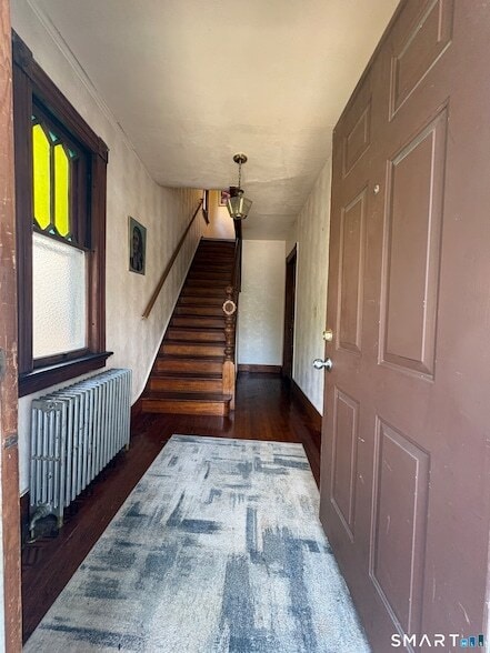 Photo - 345 Norton St