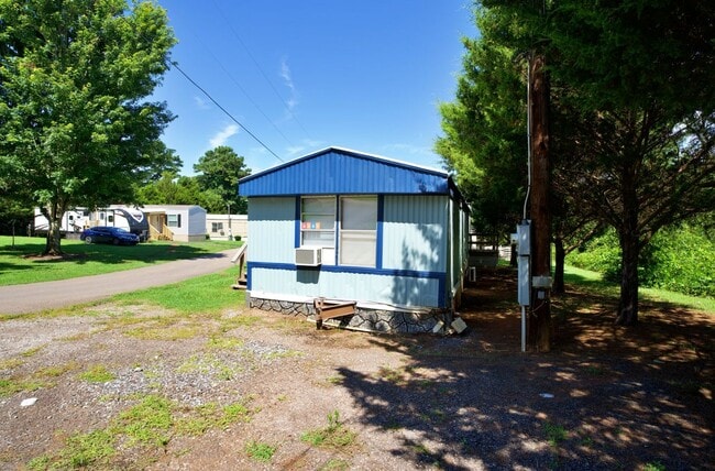 Photo - Evergreen D