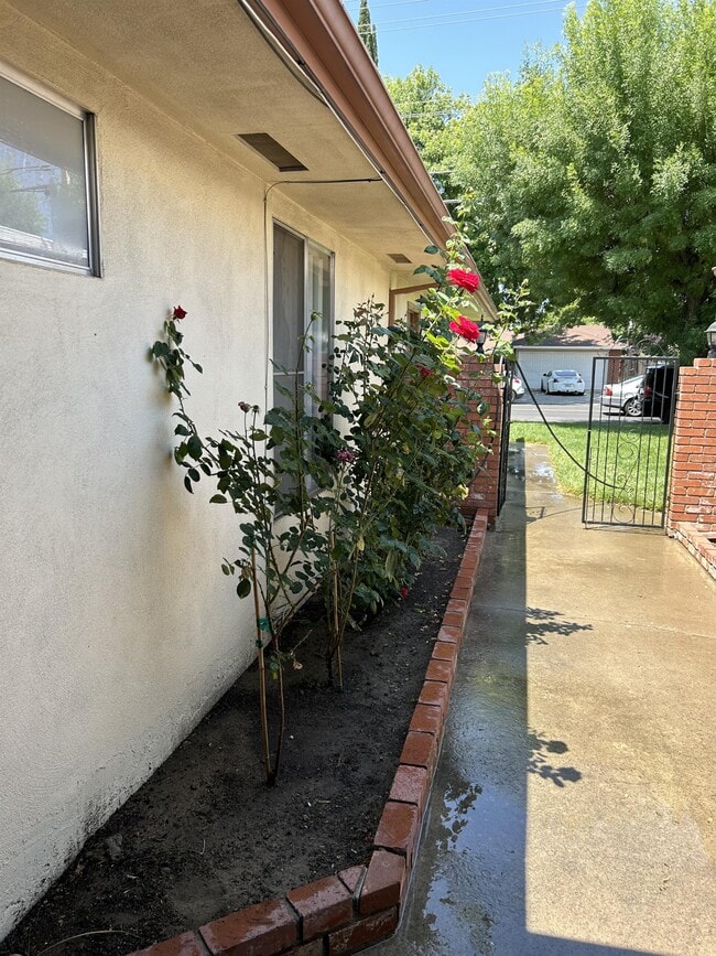 Building Photo - 2016 Rose Ave
