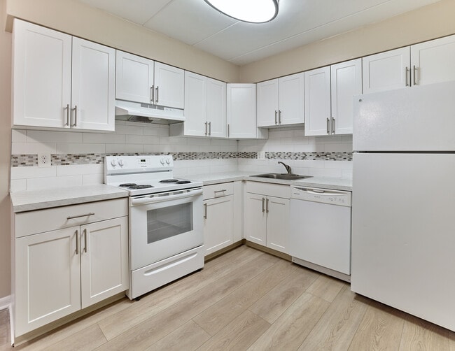 Eldorado - Newly Renovated Kitchen