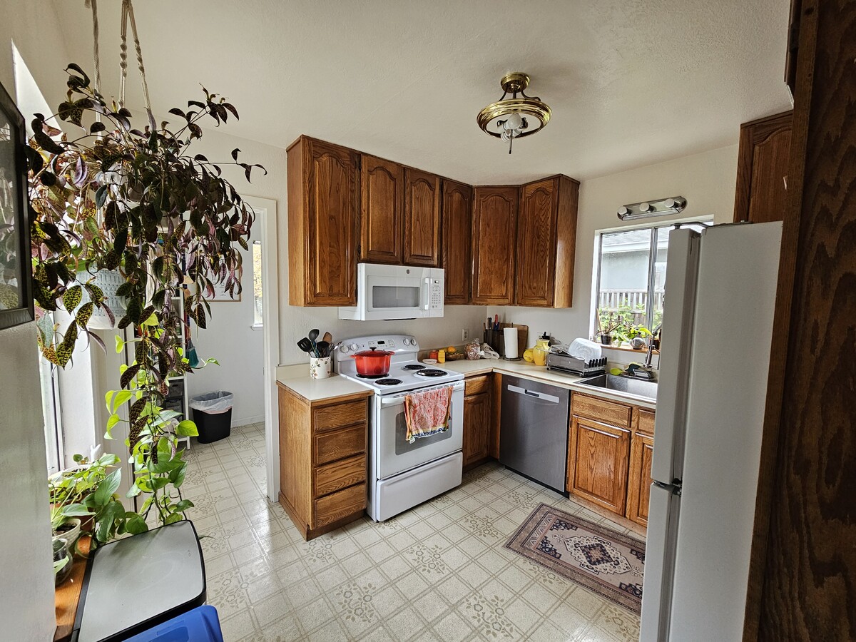 Photo - 239 McEvoy St