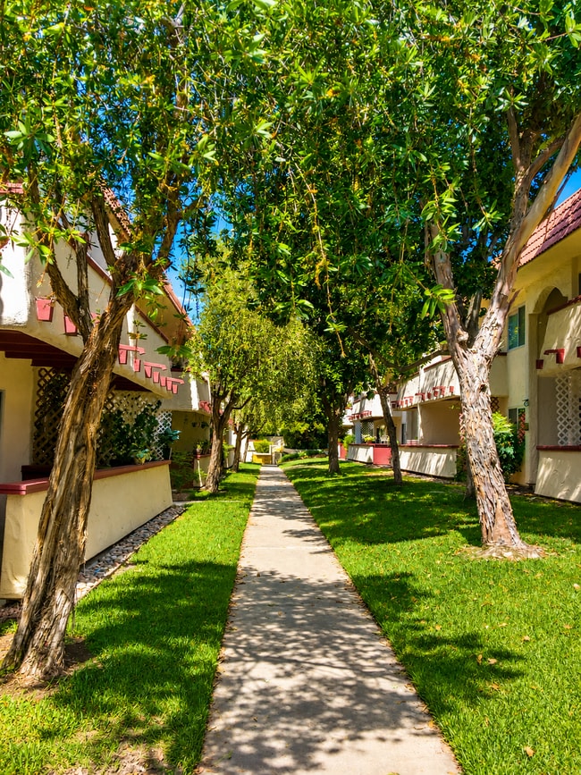 Courtyard - 8665 Lake Murray Blvd Unit 16