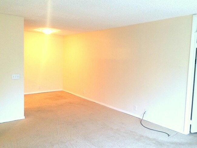 Photo - 2510 Torrey Pines Rd