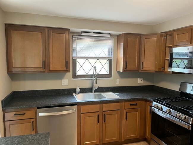Brand new sink and all new cabinets. - 608 Sangree Rd