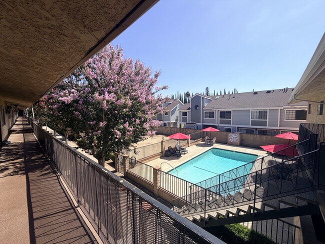 209 Violet Ave