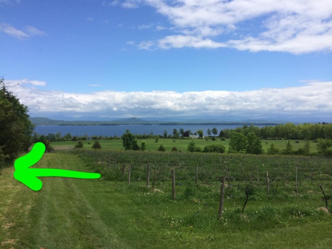 Photo - 24 Lake Shore Rd