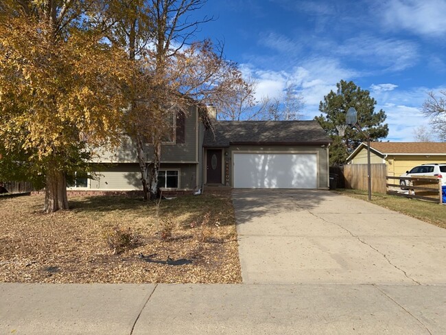 Spacious Tri-Level Home in West Fort Collins - Spacious Tri-Level Home in West Fort Collins