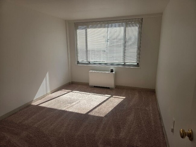 Photo - Robin Towers