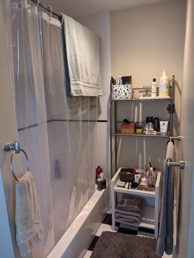 Photo - South End 1 bedroom for 9/1 on Tremont Street
