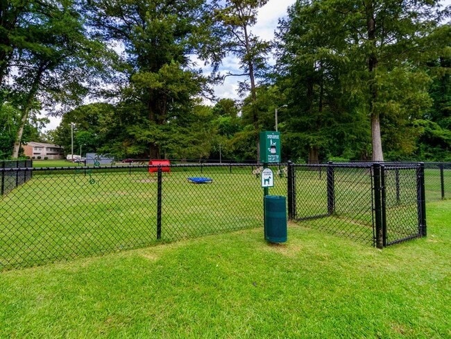 Fenced in Dog Park