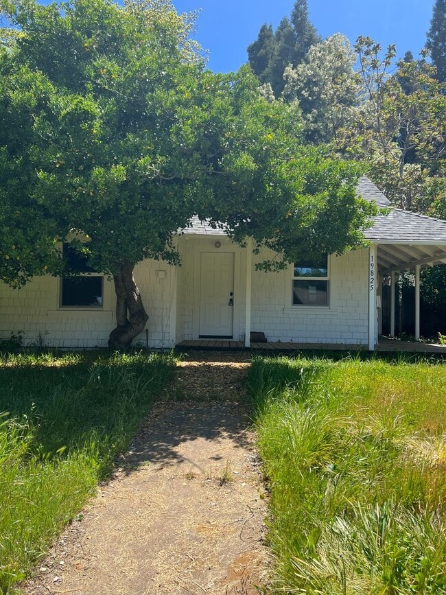 Pine Grove Home - Pine Grove Home
