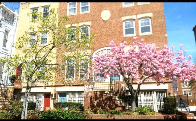 Building Photo - 236 Maryland Ave NE Unit Luxurious Cap Hill 1 BRM