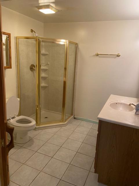 Basement Bathroom