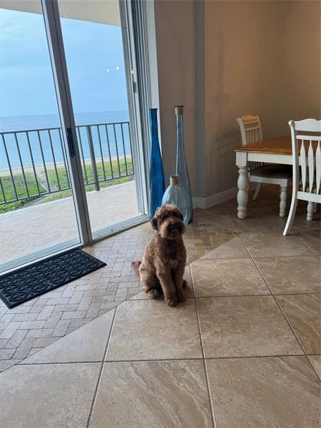 Photo - 1900 S Ocean Blvd Condo Unit 5F