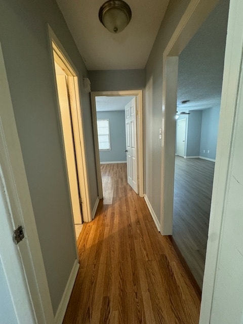 Photo - 218 Pekin St