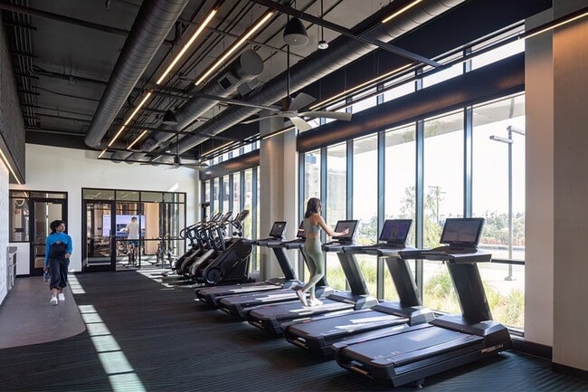 Edge - Gimnasio