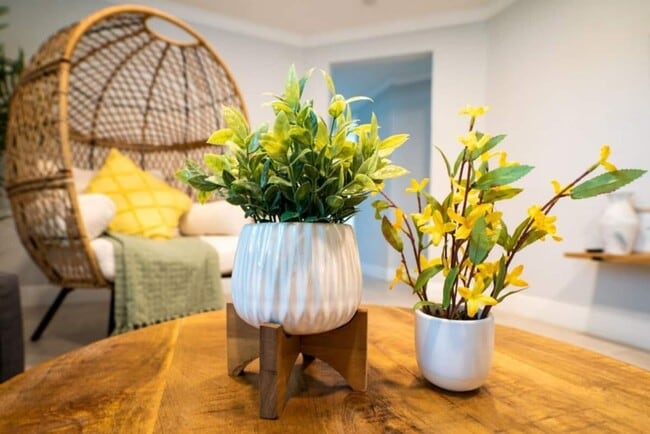 Photo - Fully Renovated Home Near Busch Gardens